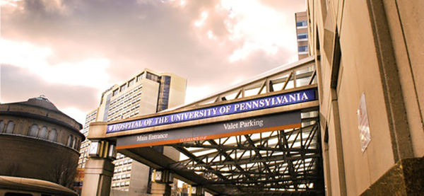 TZIELD® (teplizumab-mzwv) in Patients with Stage 2 Type 1 Diabetes