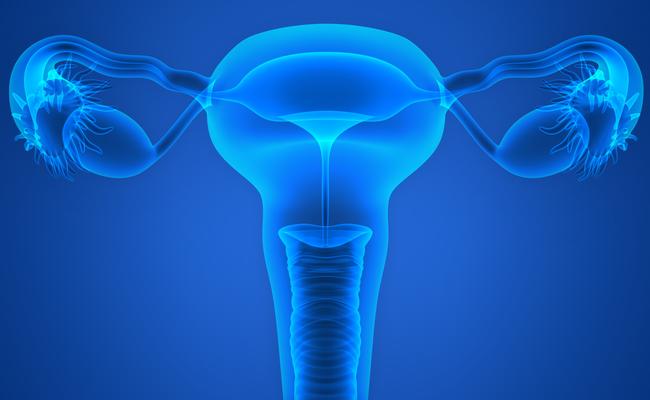 Penn Uterine Transplantation for Uterine Factor Infertility (UNTIL) Trial